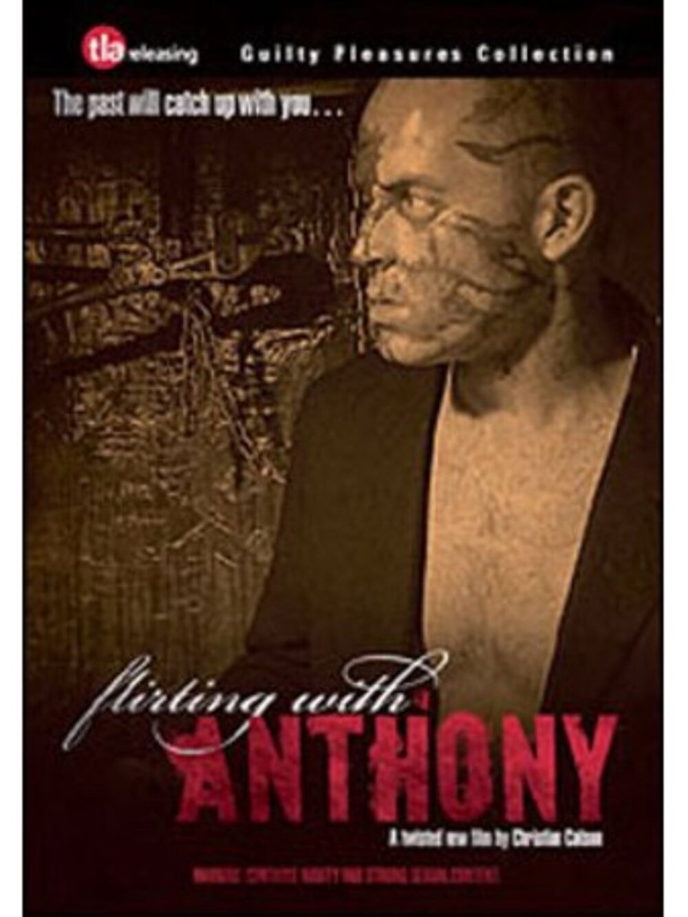 Flirting with Anthony (DVD)-Gay